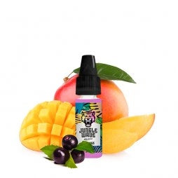 https://www.gfc-provap.com/53757-home/concentrate-mango-haze-10ml-jungle-wave.webp